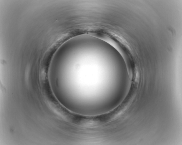 X0000091200597200708091308