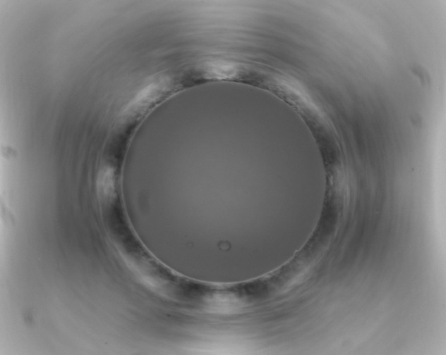 X0000091200598200708091308