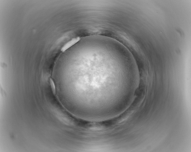 X0000091200601200708091308