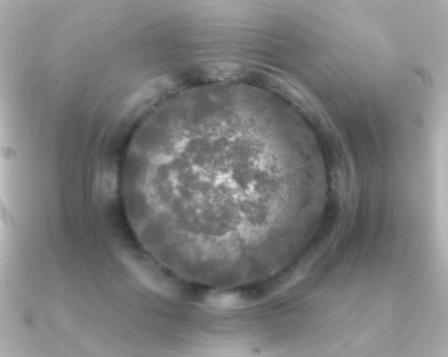 X0000091200602200708091308