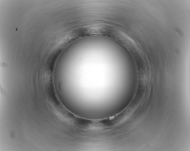 X0000091200603200708091308