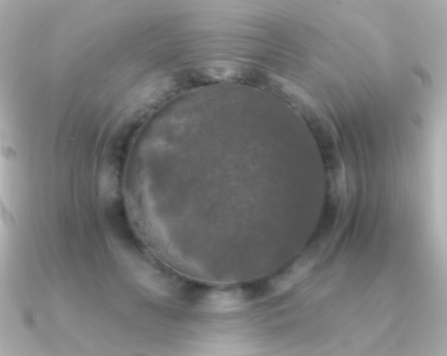 X0000091200606200708091308