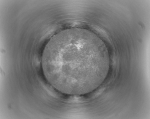 X0000091200607200708091308
