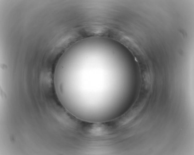X0000091200612200708091308