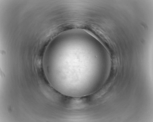 X0000091200613200708091308
