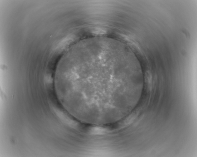 X0000091200614200708091308