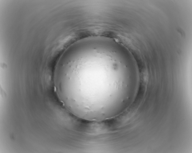 X0000091200615200708091308