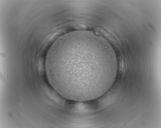 X0000091200616200708091308