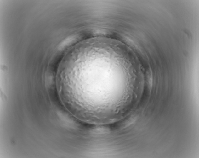 X0000091200619200708091308