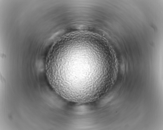 X0000091200620200708091308