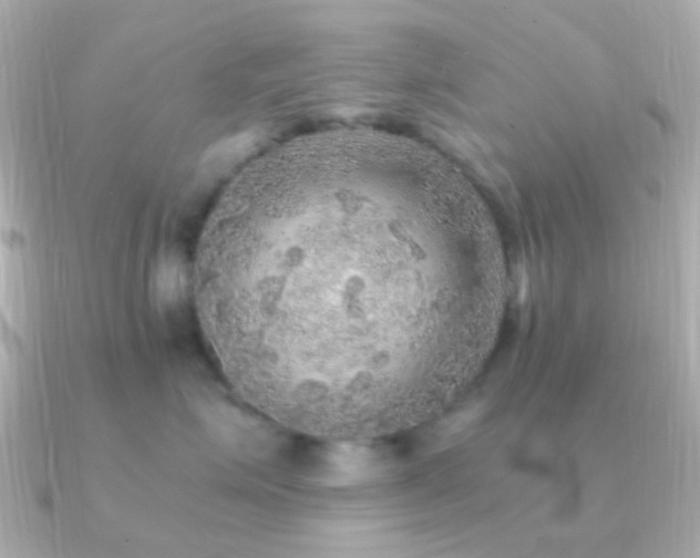 X0000091200623200708091308