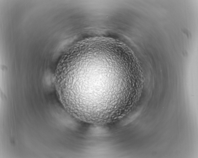 X0000091200624200708091308