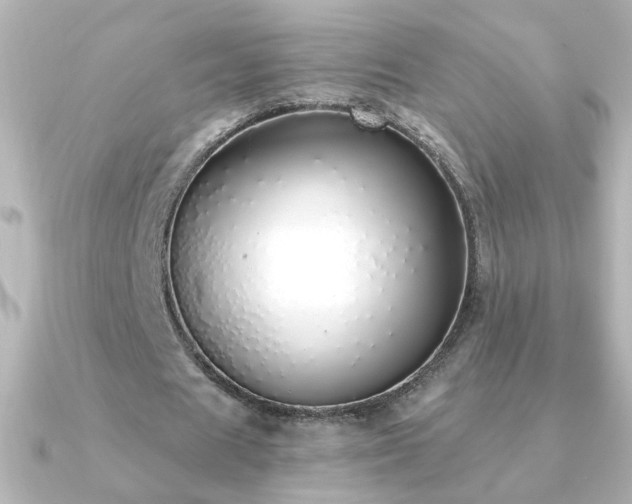 X0000091200625200708091307