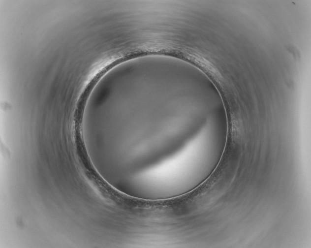X0000091200626200708091307