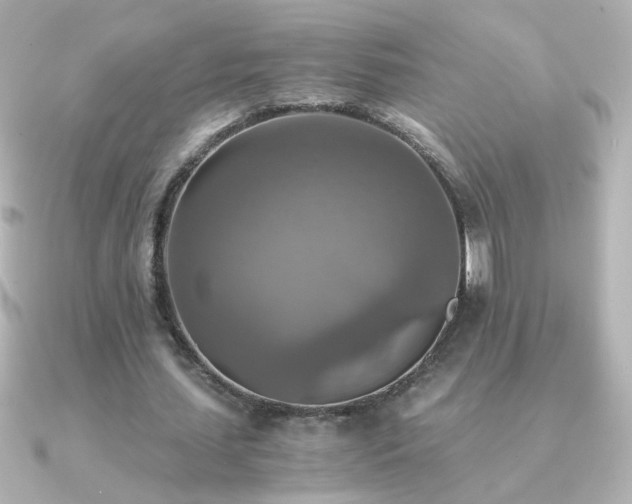 X0000091200627200708091307