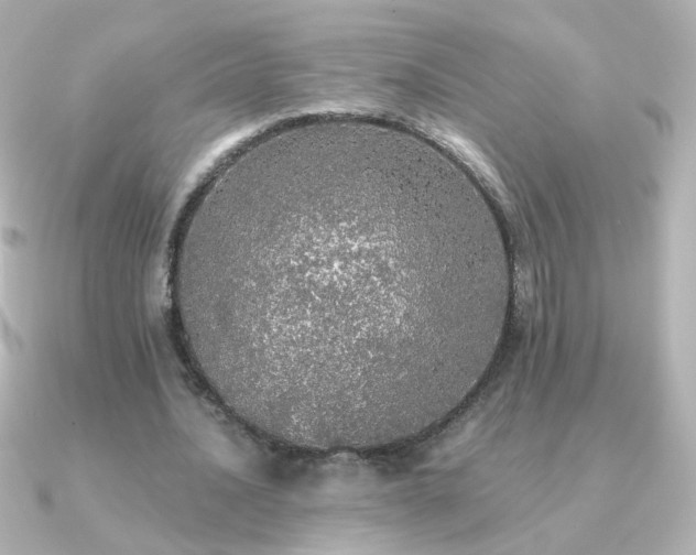 X0000091200628200708091307
