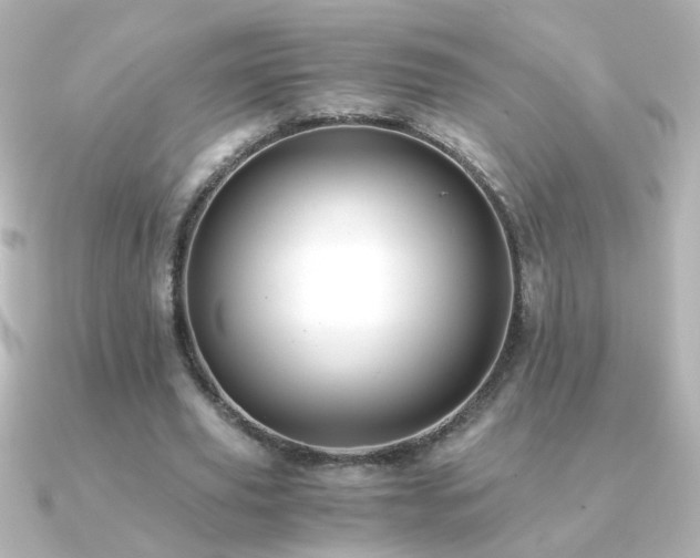 X0000091200629200708091307