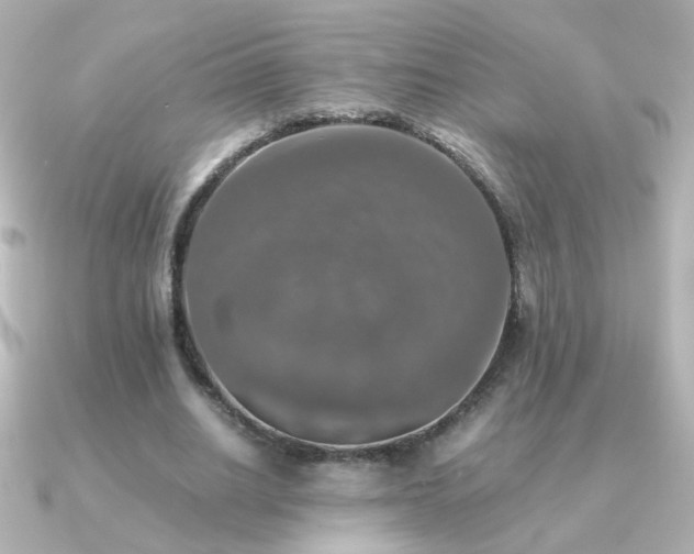 X0000091200630200708091307