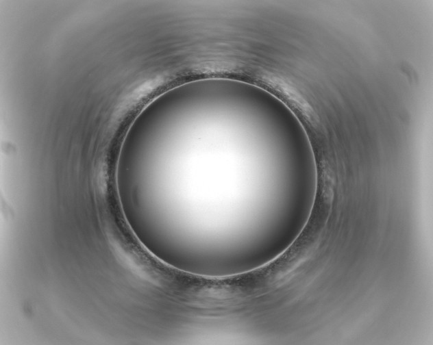 X0000091200631200708091307
