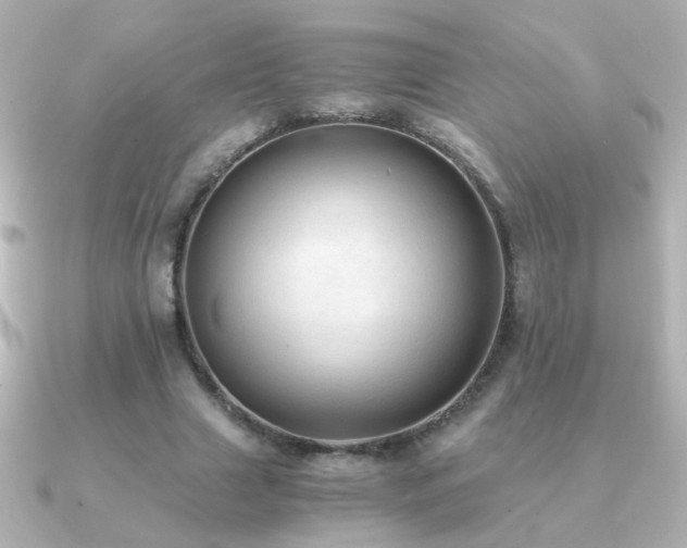 X0000091200633200708091307