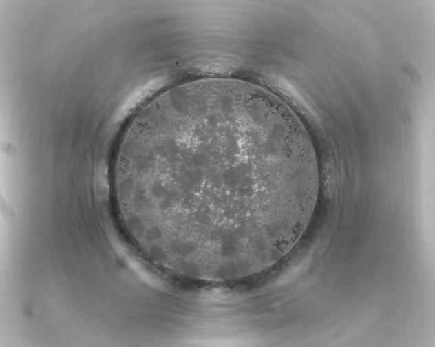 X0000091200634200708091307