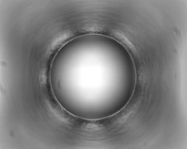 X0000091200635200708091307