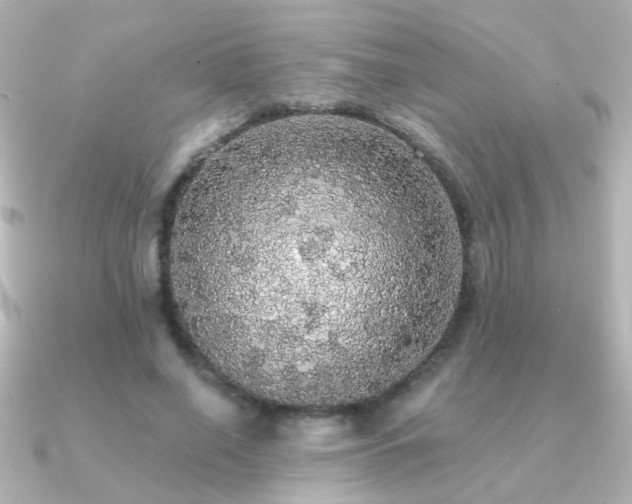 X0000091200638200708091308