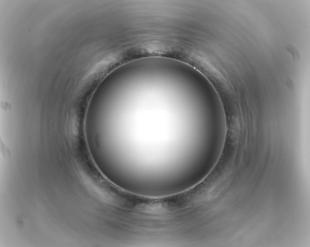 X0000091200639200708091308