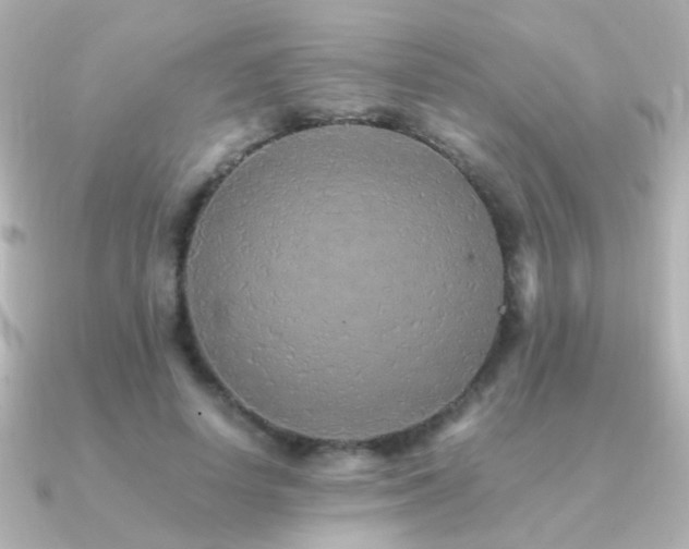 X0000091200642200708091308