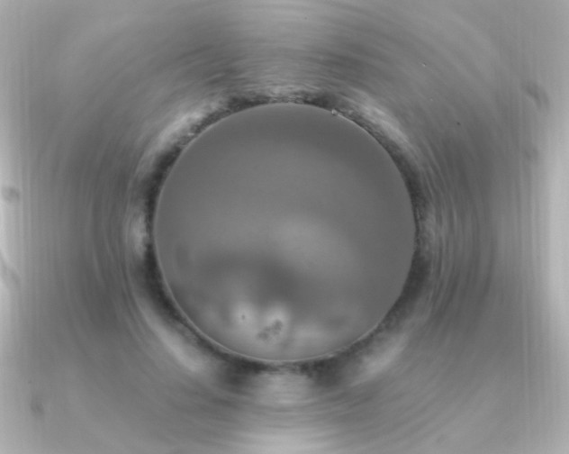 X0000091200644200708091308