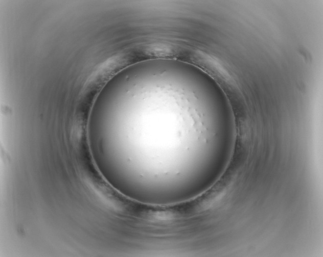X0000091200645200708091308