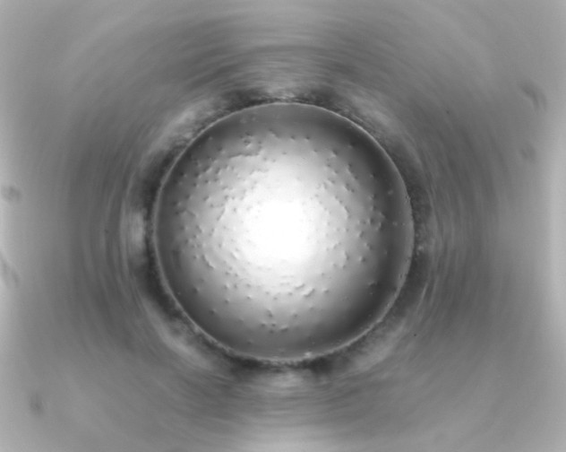 X0000091200646200708091308
