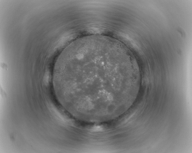 X0000091200647200708091308