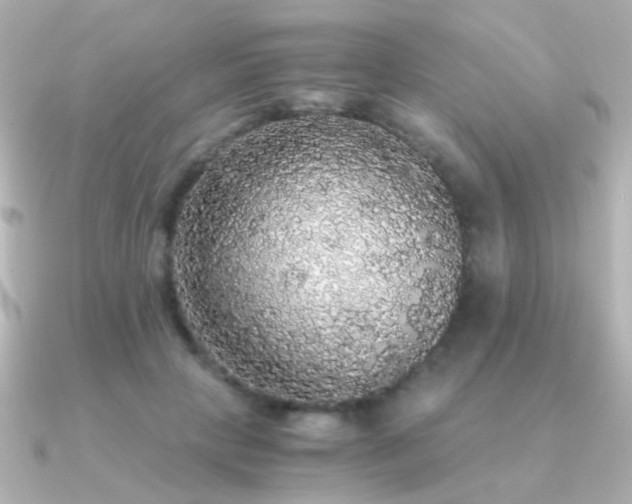X0000091200649200708091308