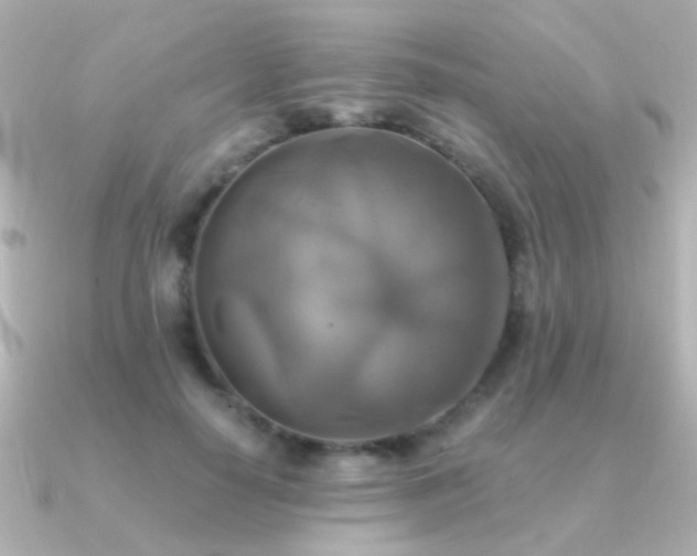X0000091200650200708091308