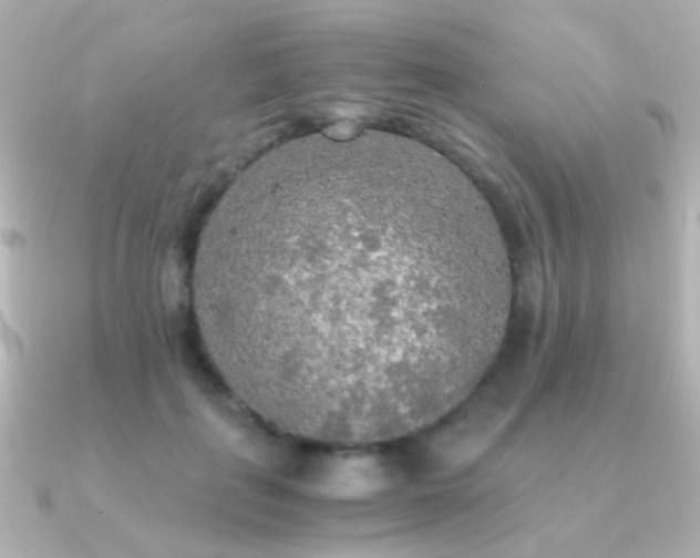 X0000091200651200708091308