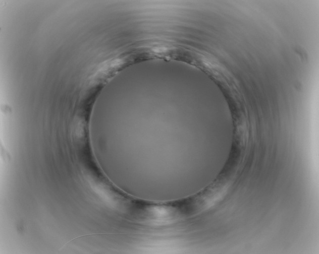 X0000091200654200708091308