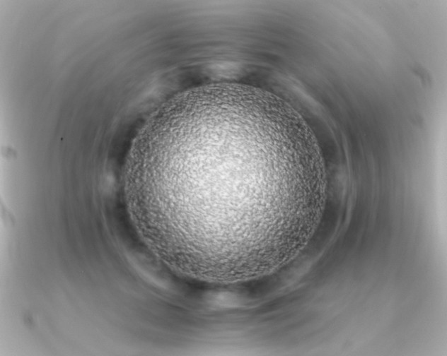 X0000091200655200708091308