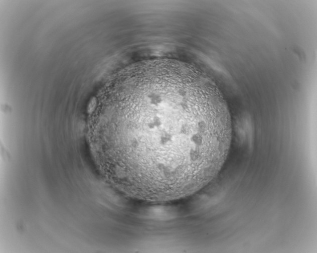 X0000091200657200708091308
