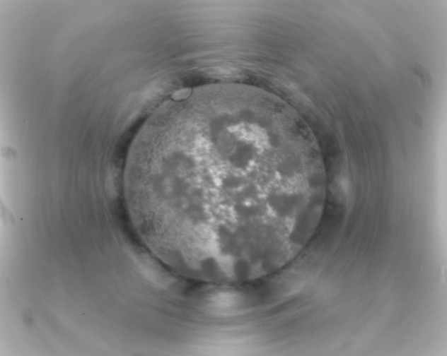 X0000091200658200708091308