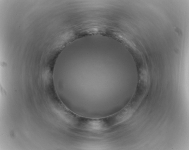 X0000091200659200708091308