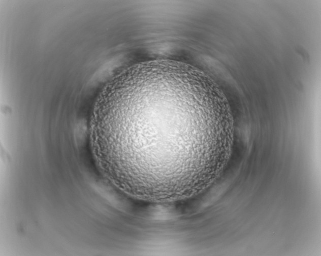 X0000091200660200708091308