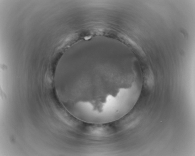X0000091200661200708091308
