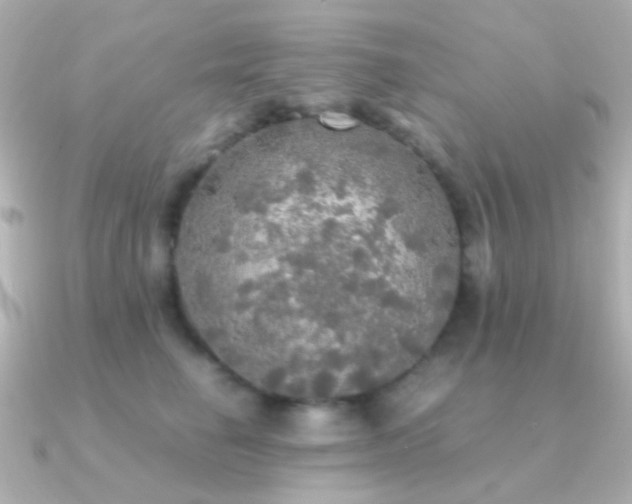 X0000091200662200708091308