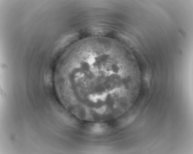 X0000091200663200708091308