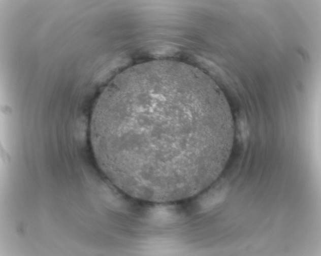X0000091200664200708091308