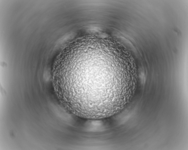 X0000091200665200708091308