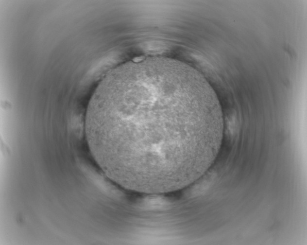 X0000091200666200708091308