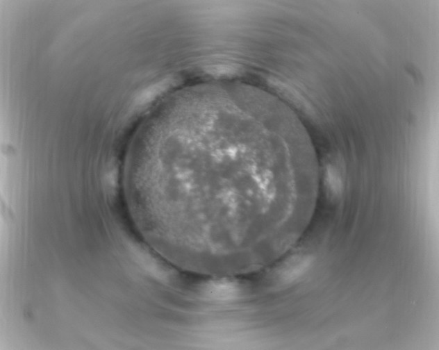 X0000091200668200708091308