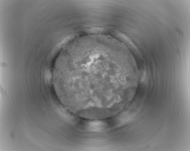X0000091200669200708091308